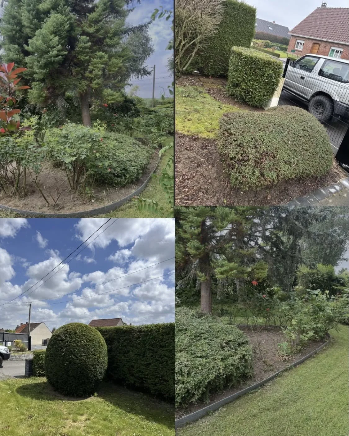 Plantation de massifs